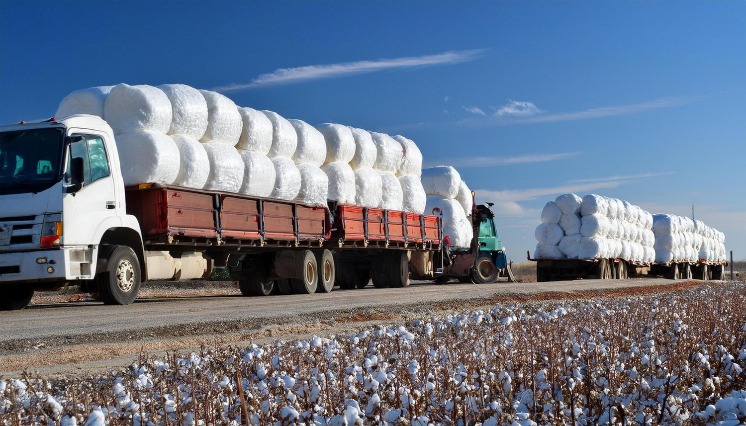 The Role of Bulk Commodity Transport in South Africa's Economy
